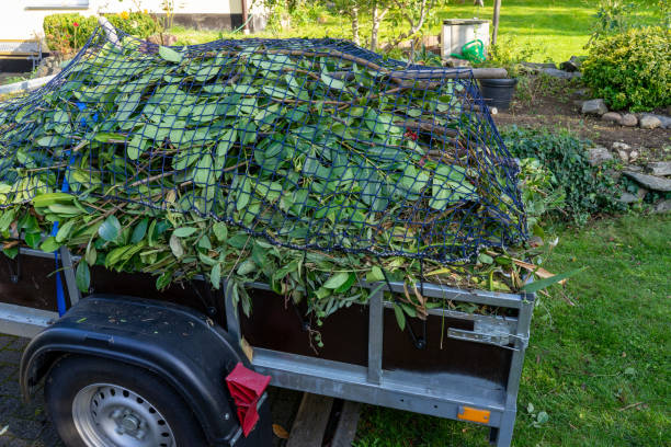 Best Carpet Removal and Disposal  in Caledonia, MN